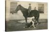 Farmboy with Cat on Horse and Dog-null-Stretched Canvas