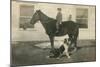Farmboy with Cat on Horse and Dog-null-Mounted Art Print