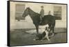 Farmboy with Cat on Horse and Dog-null-Framed Stretched Canvas