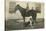 Farmboy with Cat on Horse and Dog-null-Stretched Canvas