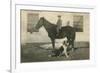 Farmboy with Cat on Horse and Dog-null-Framed Premium Giclee Print