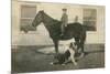 Farmboy with Cat on Horse and Dog-null-Mounted Premium Giclee Print
