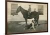 Farmboy with Cat on Horse and Dog-null-Framed Art Print