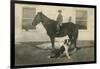 Farmboy with Cat on Horse and Dog-null-Framed Art Print