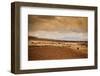 Farmer and Her Sheep, Sacred Valley, Cusco, Peru, South America-Laura Grier-Framed Photographic Print