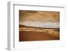 Farmer and Her Sheep, Sacred Valley, Cusco, Peru, South America-Laura Grier-Framed Photographic Print