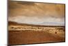 Farmer and Her Sheep, Sacred Valley, Cusco, Peru, South America-Laura Grier-Mounted Photographic Print