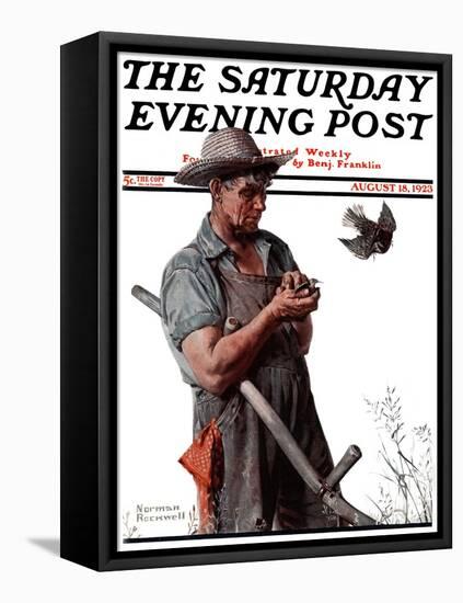 "Farmer and the Bird" or "Harvest Time" Saturday Evening Post Cover, August 18,1923-Norman Rockwell-Framed Stretched Canvas