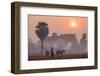 Farmer Bringing His Cows in the Fields, Kompong Thom (Kampong Thom), Kompong Thom Province-Nathalie Cuvelier-Framed Photographic Print