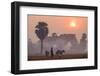 Farmer Bringing His Cows in the Fields, Kompong Thom (Kampong Thom), Kompong Thom Province-Nathalie Cuvelier-Framed Photographic Print