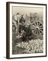 Farmer Collecting Husked Corn to Load into a Horse Drawn Wagon in Washington County, Maryland, 1937-Arthur Rothstein-Framed Photo