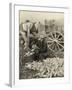 Farmer Collecting Husked Corn to Load into a Horse Drawn Wagon in Washington County, Maryland, 1937-Arthur Rothstein-Framed Photo