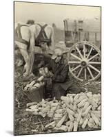 Farmer Collecting Husked Corn to Load into a Horse Drawn Wagon in Washington County, Maryland, 1937-Arthur Rothstein-Mounted Photo