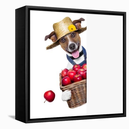 Farmer Dog-Javier Brosch-Framed Stretched Canvas