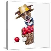 Farmer Dog-Javier Brosch-Stretched Canvas