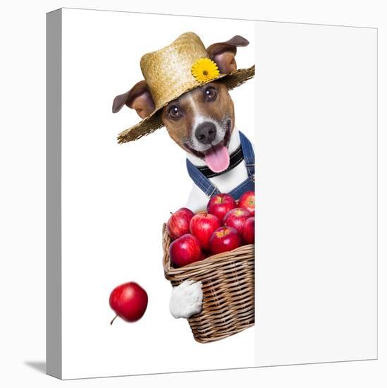 Farmer Dog-Javier Brosch-Stretched Canvas