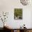 Farmer Driving a Tractor in Lujan De Cuyo, Mendoza Region, Argentina, South America-Yadid Levy-Stretched Canvas displayed on a wall