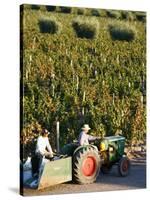 Farmer Driving a Tractor in Lujan De Cuyo, Mendoza Region, Argentina, South America-Yadid Levy-Stretched Canvas