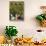 Farmer Driving a Tractor in Lujan De Cuyo, Mendoza Region, Argentina, South America-Yadid Levy-Stretched Canvas displayed on a wall