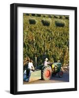 Farmer Driving a Tractor in Lujan De Cuyo, Mendoza Region, Argentina, South America-Yadid Levy-Framed Photographic Print