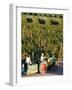 Farmer Driving a Tractor in Lujan De Cuyo, Mendoza Region, Argentina, South America-Yadid Levy-Framed Photographic Print