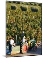 Farmer Driving a Tractor in Lujan De Cuyo, Mendoza Region, Argentina, South America-Yadid Levy-Mounted Photographic Print