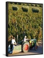 Farmer Driving a Tractor in Lujan De Cuyo, Mendoza Region, Argentina, South America-Yadid Levy-Framed Photographic Print