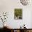 Farmer Driving a Tractor in Lujan De Cuyo, Mendoza Region, Argentina, South America-Yadid Levy-Framed Photographic Print displayed on a wall