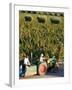 Farmer Driving a Tractor in Lujan De Cuyo, Mendoza Region, Argentina, South America-Yadid Levy-Framed Photographic Print