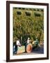 Farmer Driving a Tractor in Lujan De Cuyo, Mendoza Region, Argentina, South America-Yadid Levy-Framed Photographic Print