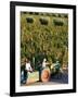 Farmer Driving a Tractor in Lujan De Cuyo, Mendoza Region, Argentina, South America-Yadid Levy-Framed Photographic Print