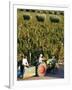 Farmer Driving a Tractor in Lujan De Cuyo, Mendoza Region, Argentina, South America-Yadid Levy-Framed Photographic Print