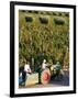 Farmer Driving a Tractor in Lujan De Cuyo, Mendoza Region, Argentina, South America-Yadid Levy-Framed Photographic Print