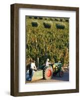 Farmer Driving a Tractor in Lujan De Cuyo, Mendoza Region, Argentina, South America-Yadid Levy-Framed Photographic Print