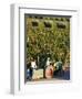 Farmer Driving a Tractor in Lujan De Cuyo, Mendoza Region, Argentina, South America-Yadid Levy-Framed Photographic Print