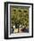 Farmer Driving a Tractor in Lujan De Cuyo, Mendoza Region, Argentina, South America-Yadid Levy-Framed Premium Photographic Print