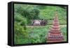 Farmer Driving an Ox-Cart, Bagan, Mandalay Region, Myanmar-Keren Su-Framed Stretched Canvas