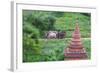 Farmer Driving an Ox-Cart, Bagan, Mandalay Region, Myanmar-Keren Su-Framed Photographic Print