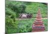 Farmer Driving an Ox-Cart, Bagan, Mandalay Region, Myanmar-Keren Su-Mounted Photographic Print