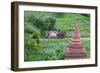 Farmer Driving an Ox-Cart, Bagan, Mandalay Region, Myanmar-Keren Su-Framed Photographic Print