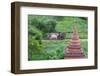 Farmer Driving an Ox-Cart, Bagan, Mandalay Region, Myanmar-Keren Su-Framed Photographic Print