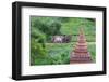 Farmer Driving an Ox-Cart, Bagan, Mandalay Region, Myanmar-Keren Su-Framed Photographic Print