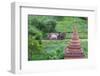 Farmer Driving an Ox-Cart, Bagan, Mandalay Region, Myanmar-Keren Su-Framed Photographic Print