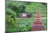 Farmer Driving an Ox-Cart, Bagan, Mandalay Region, Myanmar-Keren Su-Mounted Photographic Print