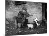 Farmer Feeding Cats-null-Mounted Photographic Print