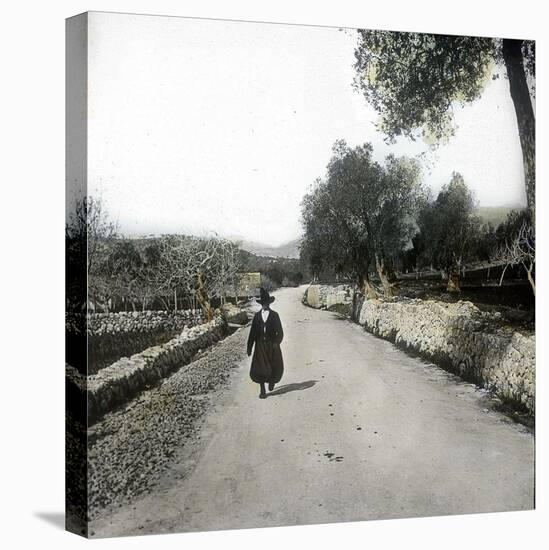 Farmer from the Region of Pollensa (Island of Majorca, Balearics, Spain), Circa 1895-Leon, Levy et Fils-Stretched Canvas