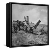 Farmer Harvesting Oats-John Phillips-Framed Stretched Canvas