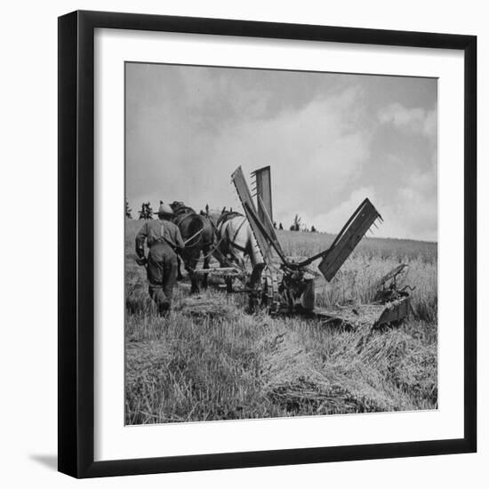 Farmer Harvesting Oats-John Phillips-Framed Photographic Print