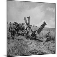 Farmer Harvesting Oats-John Phillips-Mounted Photographic Print