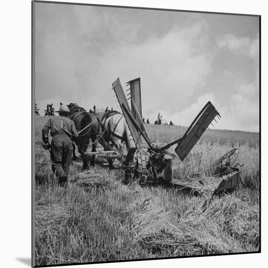 Farmer Harvesting Oats-John Phillips-Mounted Photographic Print